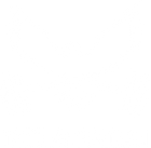 IRON AMERICAN LLC