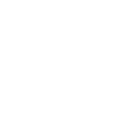 IRON AMERICAN LLC